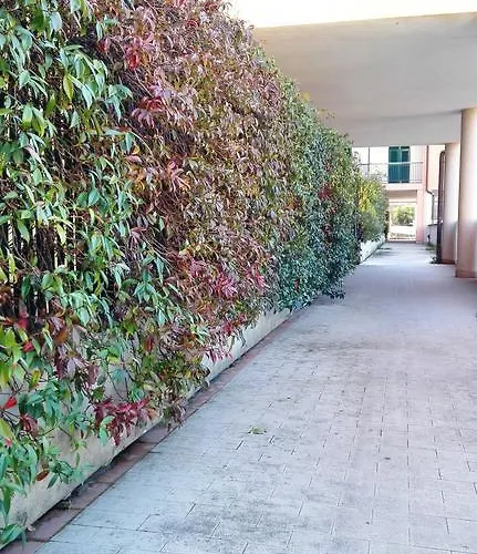 Апартаменты Andrea *